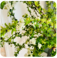 公司内部股权纠纷怎么解决,公司内部股权纠纷怎么解决最有效