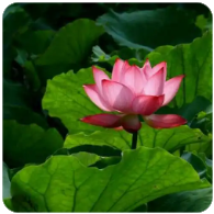 公司内部股权纠纷怎么解决,公司内部股权纠纷怎么解决最有效