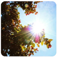 公司内部股权纠纷怎么解决,公司内部股权纠纷怎么解决最有效