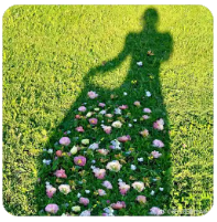 公司内部股权纠纷怎么解决,公司内部股权纠纷怎么解决最有效