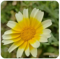 公司内部股权纠纷怎么解决,公司内部股权纠纷怎么解决最有效