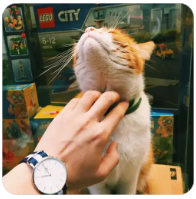 公司内部股权纠纷怎么解决,公司内部股权纠纷怎么解决最有效