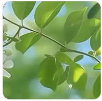 公司内部股权纠纷怎么解决,公司内部股权纠纷怎么解决最有效