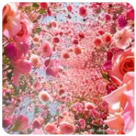 公司内部股权纠纷怎么解决,公司内部股权纠纷怎么解决最有效