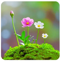 公司内部股权纠纷怎么解决,公司内部股权纠纷怎么解决最有效